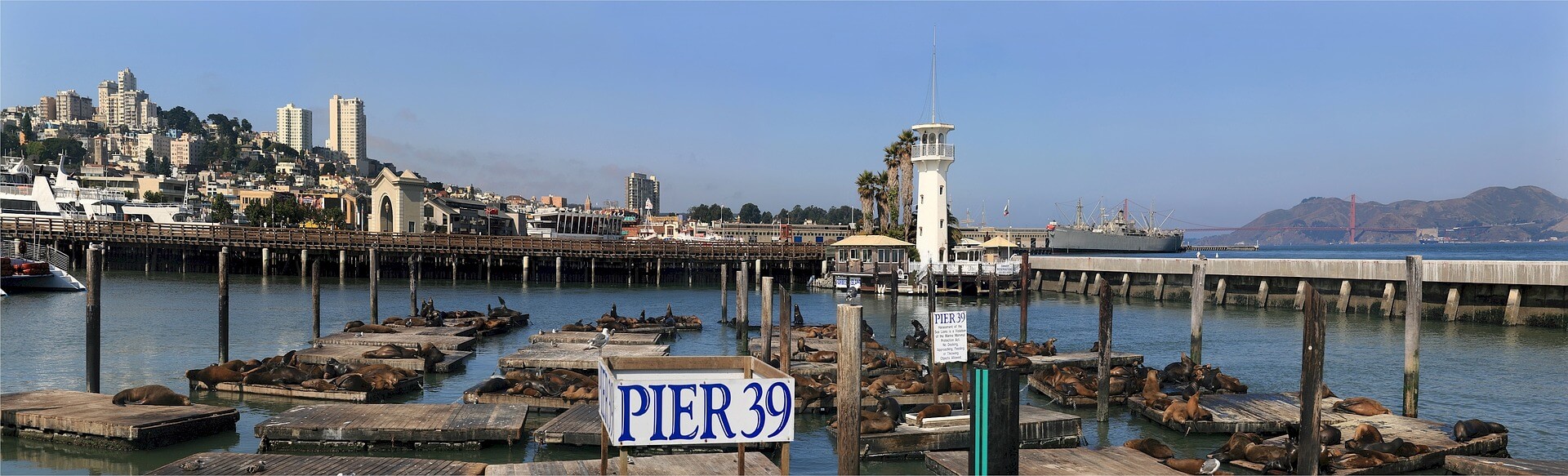 Interesting Facts About Fisherman’s Wharf In San Francisco